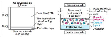 Thermoscale film singolo foglio